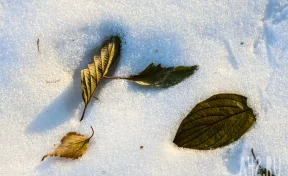 Зима с весной: температурные качели от -32 до +1 ждут кузбассовцев в конце недели