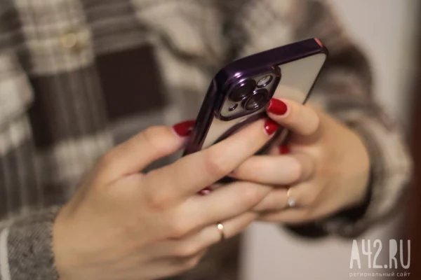 Вирусное ПО, электронные подписи и чаты игр: названы схемы обмана кузбассовцев