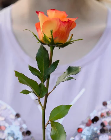 В Мали публично казнили девушку-блогера из-за публикаций в TikTok