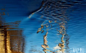 Жители кемеровской Новостройки записали обращение к Бастрыкину из-за вонючего болота под окнами