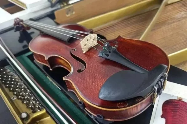 В Кузбассе двум школам искусств подарили уникальные скрипки французских мастеров