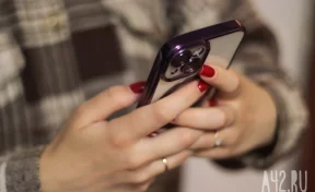 Вирусное ПО, электронные подписи и чаты игр: названы схемы обмана кузбассовцев