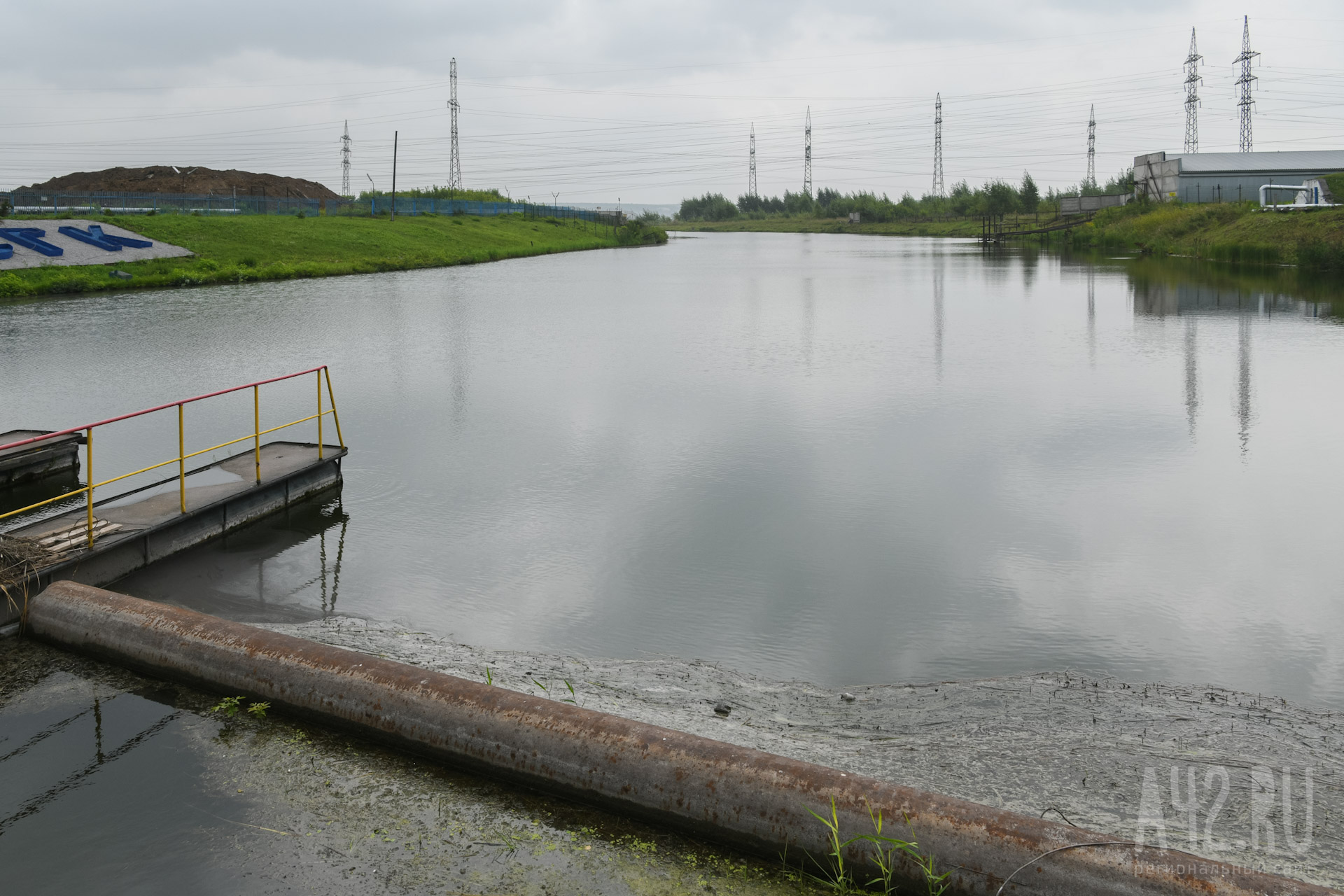 Море, не цвети: почему на Беловском тонут люди и разрастаются водоросли