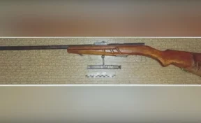 Кузбассовец случайно нашёл оружие и боеприпасы и оставил их себе