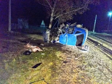 Фото: В Кузбассе автомобиль врезался в дерево, есть погибший 1