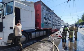 В Томске загорелась фура, перевозившая десятки коров 