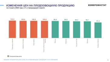 Фото: Больше не «золотые»: в Кузбассе за неделю огурцы подешевели почти на 9% 1