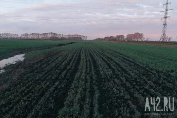 Фото: Ларионов день: народные приметы на 19 июня 1