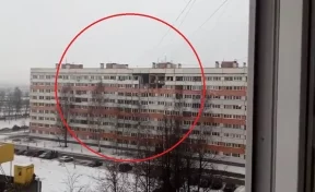 Взрыв в доме в Санкт-Петербурге попал на видео