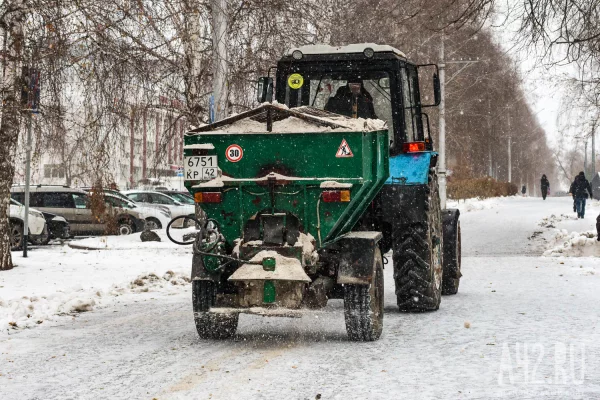 Лёд, соль, травмы и мёртвые косули. Чем опасны и чем полезны противогололёдные реагенты в Кузбассе