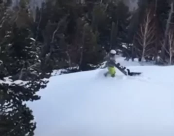 Фото: Нападение глухаря на сноубордиста в Шерегеше сняли на видео 1