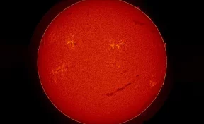 «Скорее добрый, чем злой»: на Солнце появился огромный смайлик