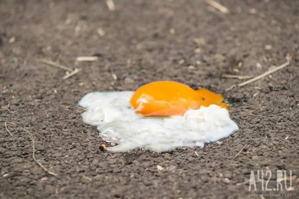 В Гидрометцентре рассказали, каким будет лето в регионах