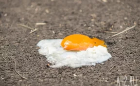 В Гидрометцентре рассказали, каким будет лето в регионах