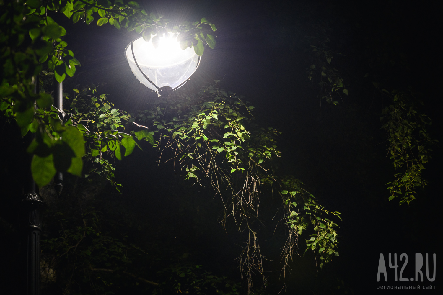 В Кемерове вандалы вырвали фонарь в парке