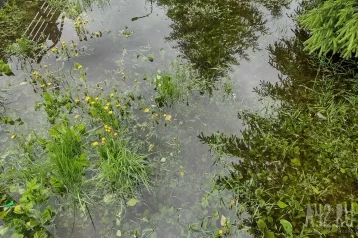 Фото: В Новокузнецке с улиц откачивают воду и убирают ветки после сильного ливня 1