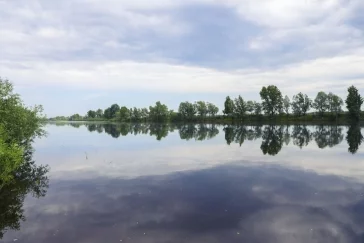 Фото: УК «Кузбассразрезуголь» выпустила больше 12 тысяч мальков краснокнижной нельмы в реки Сибири 3