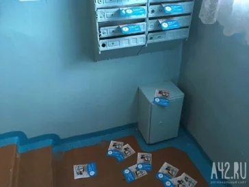 Фото: Вонь-атака и люди-свиньи: чем были возмущены кемеровчане в 2017 году 8