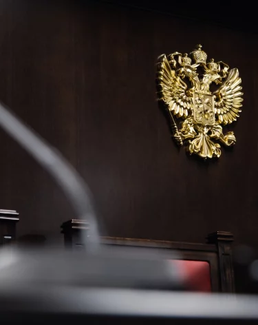 В Госдуме предложили выработать единые правила компенсаций по «схеме Долиной»