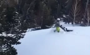 Нападение глухаря на сноубордиста в Шерегеше сняли на видео