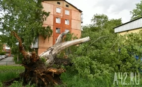 Илья Середюк рассказал о последствиях сильного ветра в Кемерове