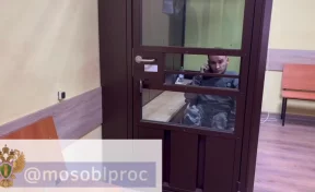 В Подмосковье отправили в СИЗО инвалида, избившего 11-летнего пасынка битой