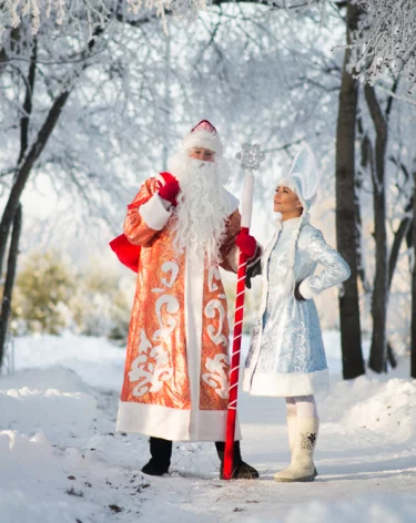  Снежинка и Снегурочка лидируют в дизайне новогодних костюмов россиян