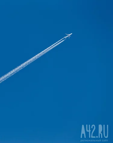 Фото: A42.RU
