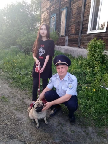 Фото: В Кузбассе полицейские вернули домой мопса Мишу 1