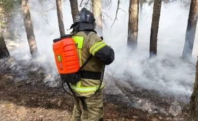 В Ростовской области более 100 огнеборцев тушат природный пожар на 30 га