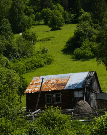 Фото: A42.RU