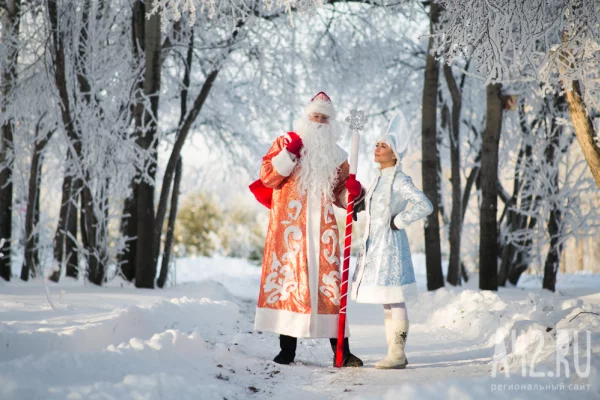  Снежинка и Снегурочка лидируют в дизайне новогодних костюмов россиян