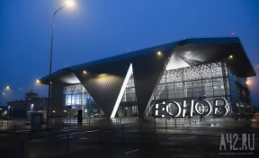 Прокуратура нашла нарушения доступной среды в аэропорту Кемерова