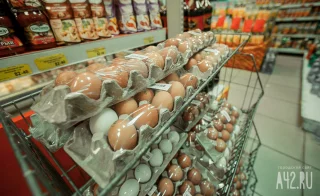 51 рубль за десяток: яйцо в Кузбассе ставит рекорды дешевизны. Почему это плохо