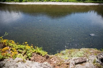 Фото: Не умели плавать: россиянин нашёл тела своих детей в озере 1