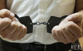 В России решили упростить применение наручников и других спецсредств