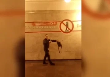 Фото: В Петербурге мужчина с ножом запугал пассажиров метро 1