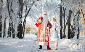  Снежинка и Снегурочка лидируют в дизайне новогодних костюмов россиян