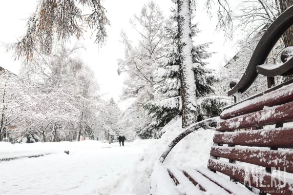 Снег и потепление до -2: синоптики дали прогноз на последний день января в Кузбассе