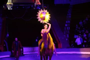 Фото: Настоящая экзотика: в цирке состоялась премьера уникального шоу «Дикая планета» 9