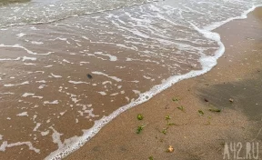 На закрытых пляжах Анапы сохраняется загрязнение воды и грунта