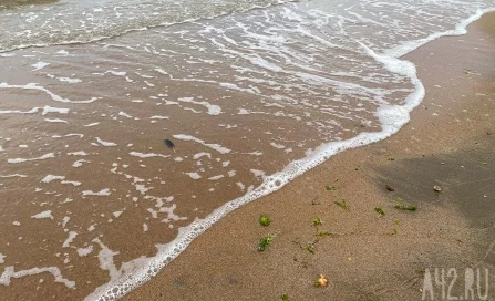 На закрытых пляжах Анапы сохраняется загрязнение воды и грунта