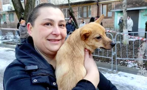 В Ростове-на-Дону спасли 15 питомцев жильцов рухнувшей пятиэтажки