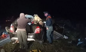 Четыре человека погибли в двойном ДТП с лосем в Омской области