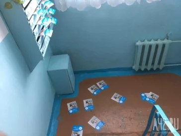 Фото: Вонь-атака и люди-свиньи: чем были возмущены кемеровчане в 2017 году 9