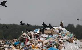 В Кузбассе на плодородном участке земли нашли мусорную гору
