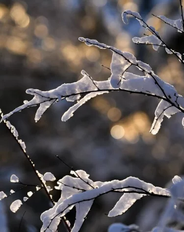 В Кузбассе в первый рабочий день недели потеплеет до +7