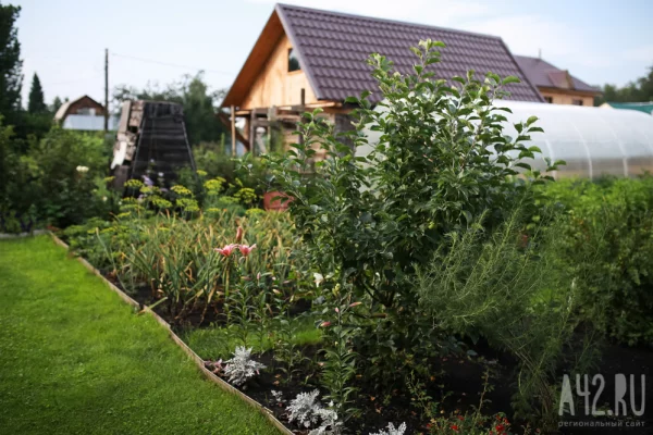 Прокуратура: мошенники придумали новую схему для «развода» кузбасских дачников