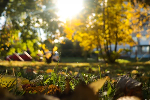 В Кузбассе на неделе потеплеет до +24