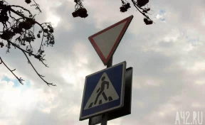 «Пешеходы набивают шишки»: кузбассовец пожаловался на низкий дорожный знак